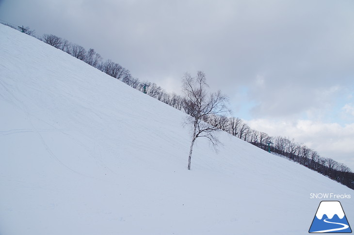 朝里川温泉スキー場 強風にも負けずリフト運行！絶景と急斜面が魅力の穴場ゲレンデ♪